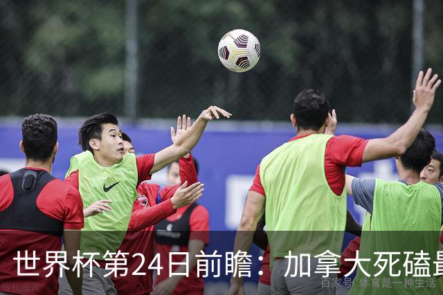 世界杯第24日前瞻：加拿大死磕最大苦主 姆巴佩冲击里程碑
